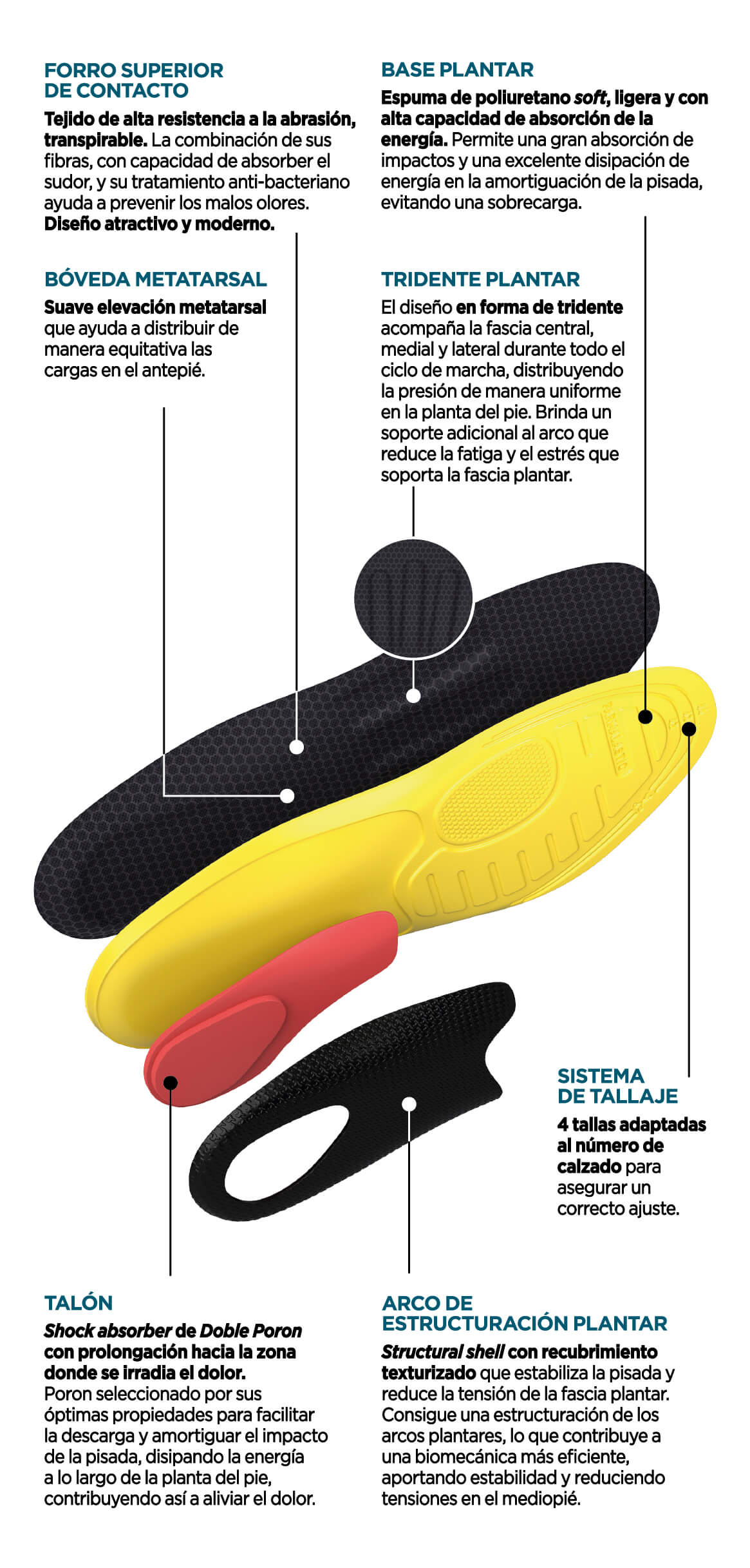 plantilla_fascitis