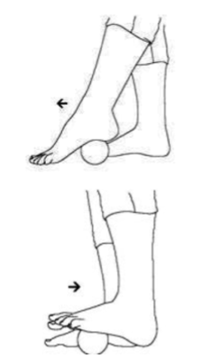 Automasaje de la planta del pie con una pelota