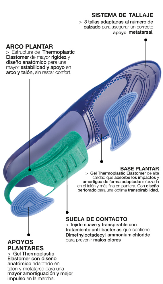 Plantilla DAY