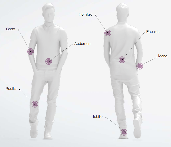 Principales articulaciones del cuerpo humano